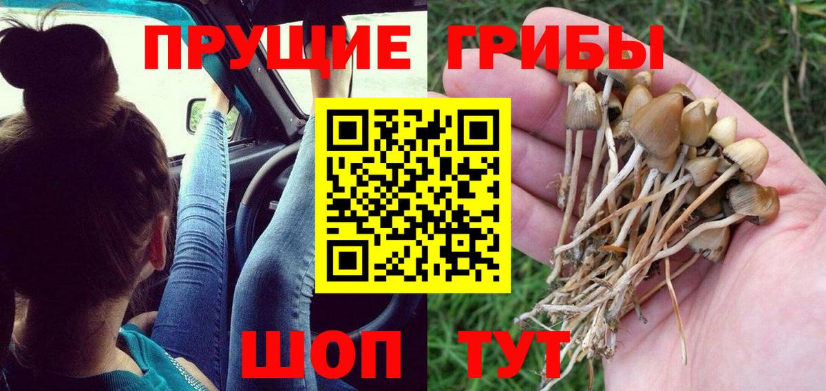 Галлюциногенные грибы GOLDEN TEACHER Белебей